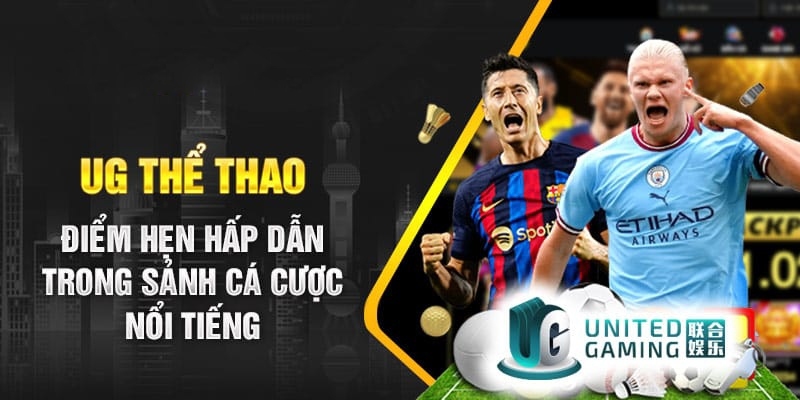 Kho thể thao đa dạng với nhiều sự lựa chọn